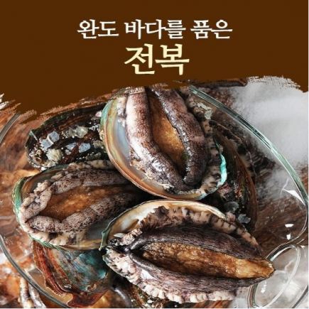 [특집][더조은] 완도활전복 대왕특대 120g이상×13마리