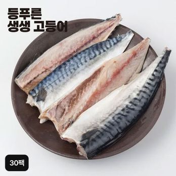 국내산 등푸른 생생 고등어 100gX30팩