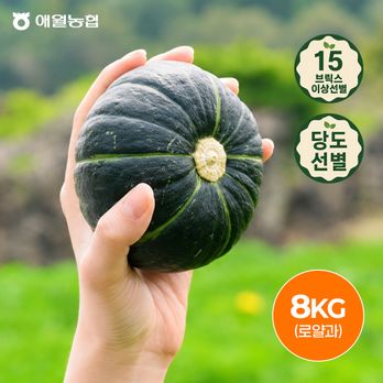 (15brix 이상)제주애월농협 보우짱 햇 미니단호박 8kg