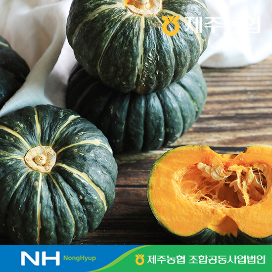 제주농협 햇 미니 단호박 8kg (과당 200g∼600g)