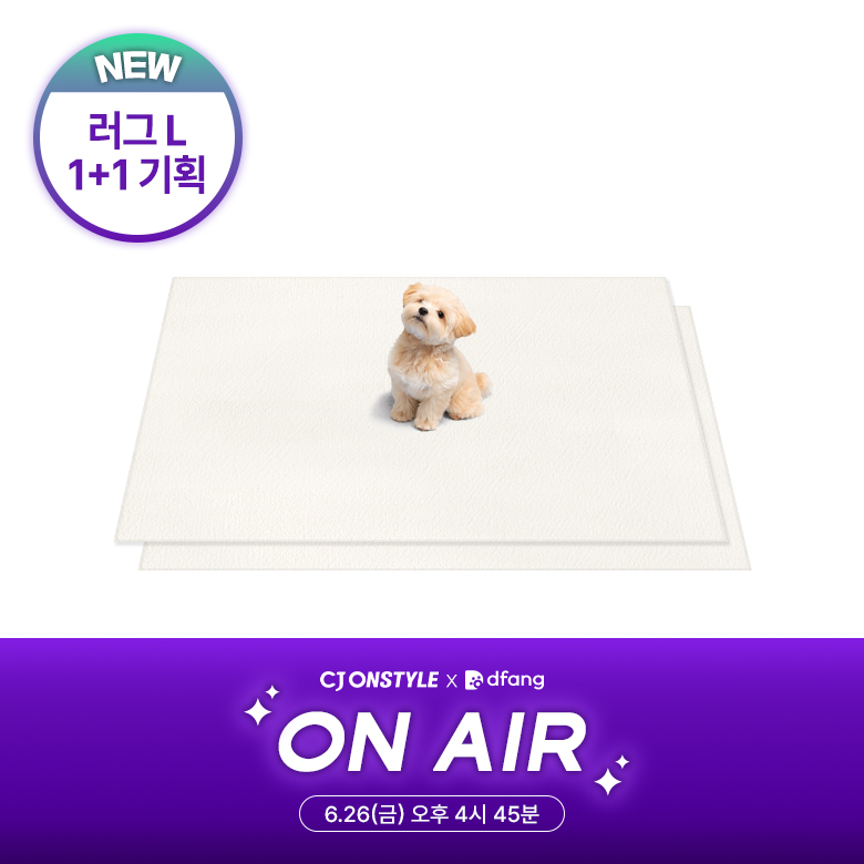NEW [1+1/강아지매트/펫매트/L] 미끄럼방지 러그형 L 2장