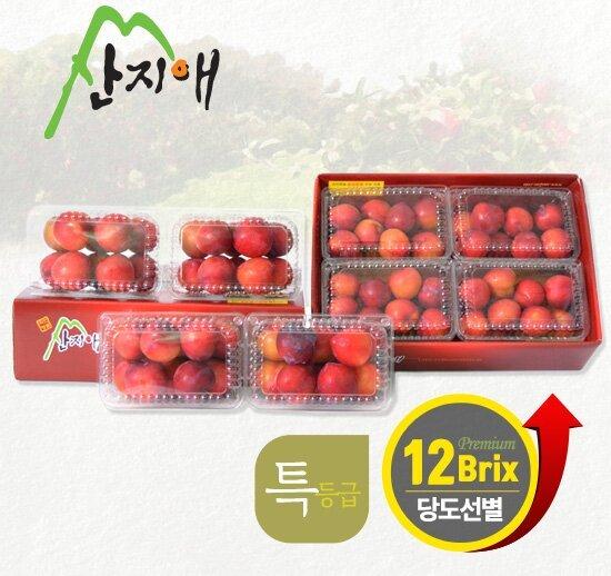 산지애 자두 6kg (750g * 8팩)