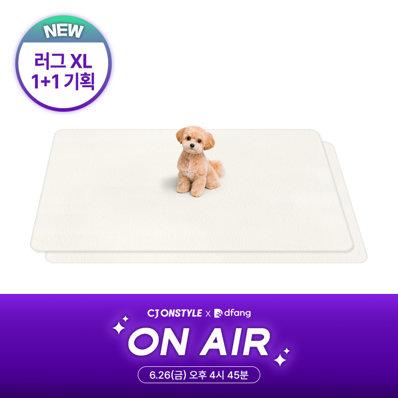 NEW [1+1/강아지매트/펫매트/XL] 미끄럼방지 러그형 XL 2장