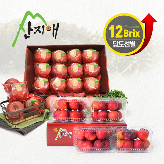 산지애 사과 3kg + 자두 3kg