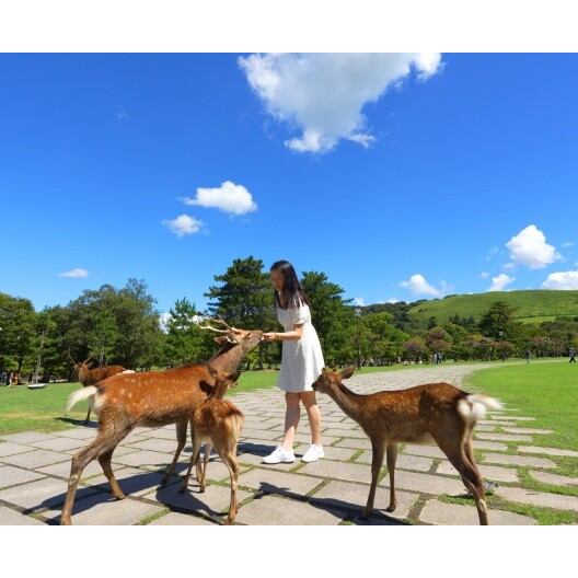 [상담예약] 참좋은여행 오사카 4일 패키지 4