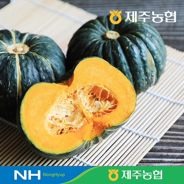 제주농협 특등급 햇 미니 단호박 8kg