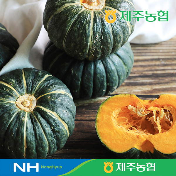 제주농협 특등급 햇 미니 단호박 8kg 2