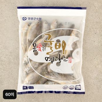 영광군수협 중장대굴비 60미