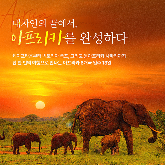 아프리카 완전 일주  6국 13일 #왕복비즈니스 #5대사파리
