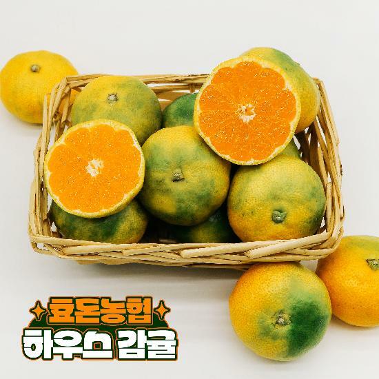 [삼성카드5%할인][효돈농협]프리미엄 제주 하우스감귤 특등급2.3kg (2s-m 사이즈) 2박스 2
