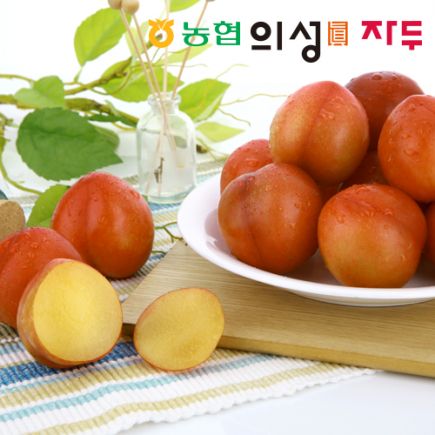 [의성진] 26년 햇 자두 4.8kg (1.2kg*4팩_대석)