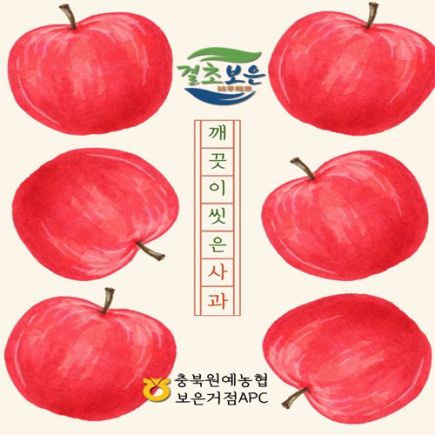 보은_2025 충북원예농협 CA세척부사 5kg(17~28개/개당180~300g)_개별포장X