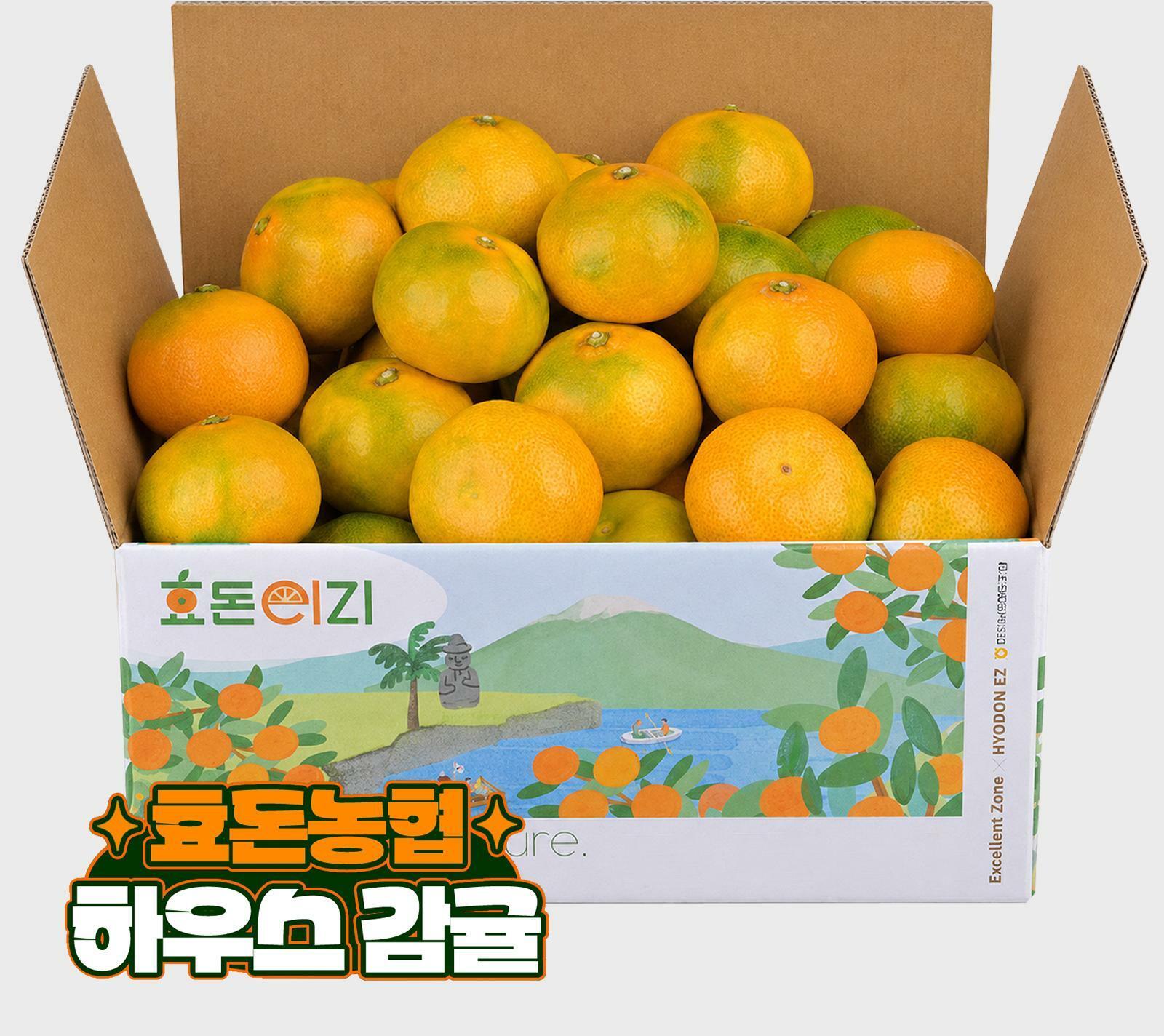 [삼성카드5%할인][효돈농협]프리미엄 제주 하우스감귤 특등급2.3kg (2s-m 사이즈) 2박스