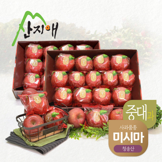 산지애 청송 꿀사과 미시마 6kg (3kg*2박스, 총 20~28과)