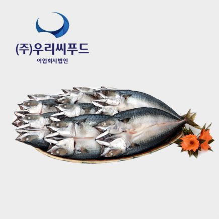 [우리참바다][대사이즈] 국내산 자반고등어 250g×12마리+1마리추가