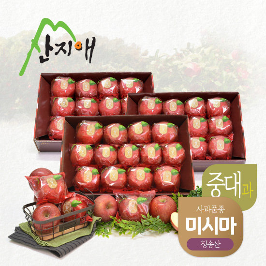 산지애 청송 꿀사과 미시마 9kg (3kg*3박스, 총 30~42과)