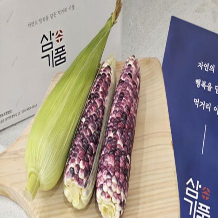 곡성 생 흑찰옥수수 25개 2