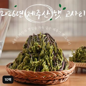 제주 햇 고사리 150g x 10팩