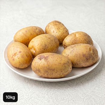 골든킹 감자 10kg