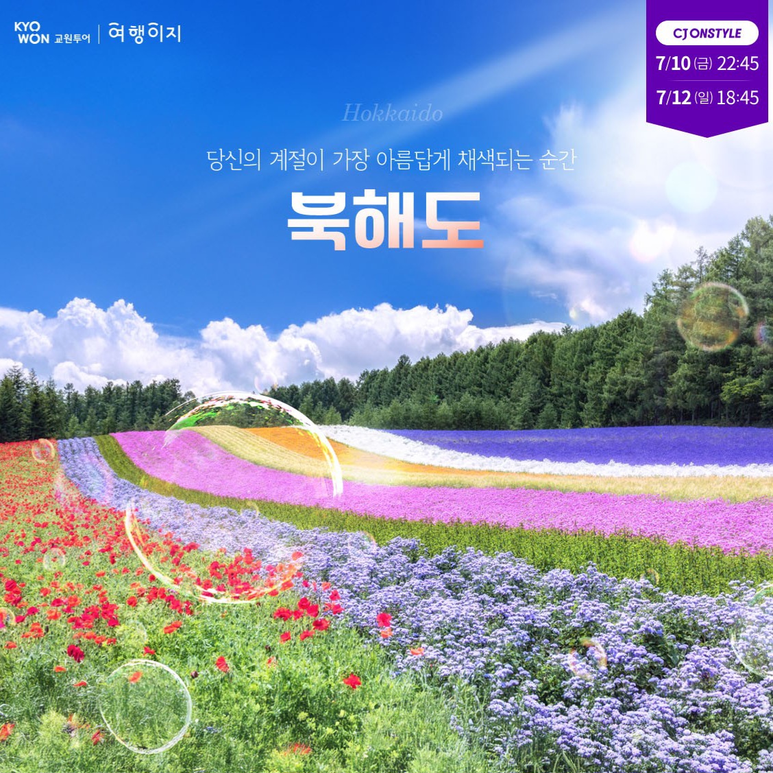 북해도 4일 #NO팁 #NO옵션 #전일정4성