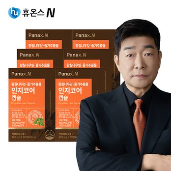 파낙스엔 인지코어 6박스(6개월분)