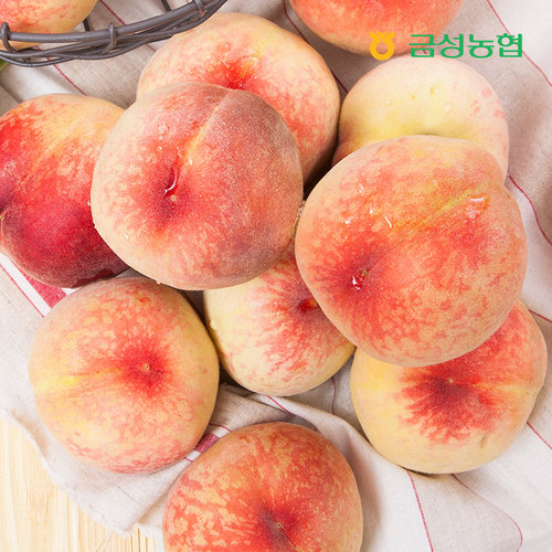[금성농협][특등급] 햇 백도 아삭이 복숭아 4kg