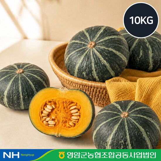 [농협]영암 국내산 햇 단호박 9+1kg
