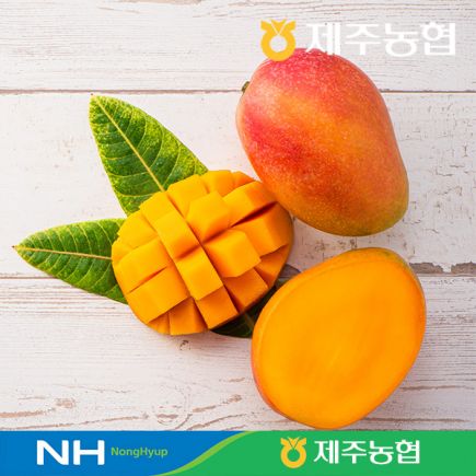제주농협 프리미엄 애플망고 2kg(4~7개입: 개당 286g~500g)