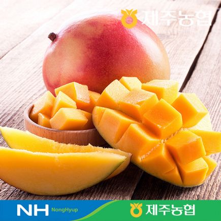 제주농협 프리미엄 애플망고 2kg(4~7개입: 개당 286g~500g) 2