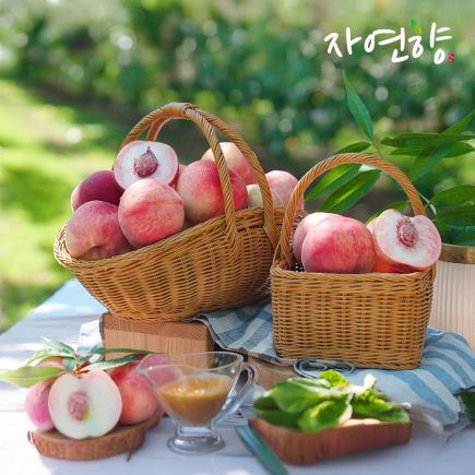 26년 햇 자연향 아삭이 복숭아 3kg*2박스 2