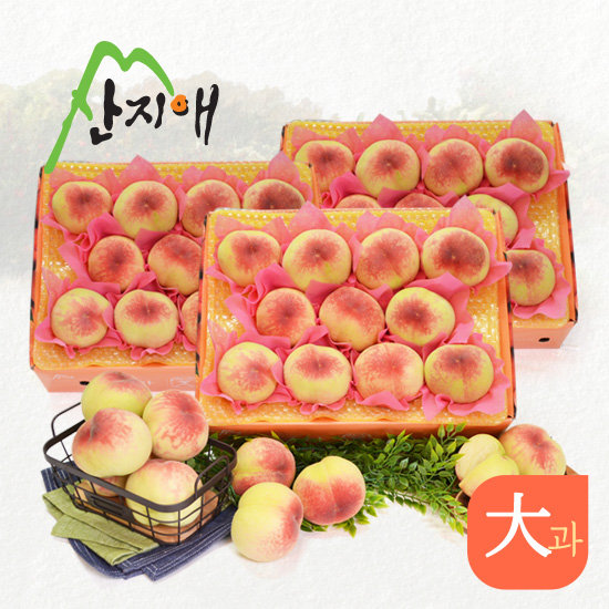 산지애 아삭아삭 햇복숭아 총 9kg (3kg*3box)