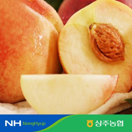 [상주농협]아삭한 백도 복숭아 총 5kg(개당215g~300g/L~2L)