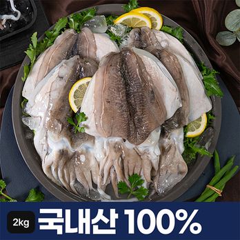 국내산 손질 갑오징어 12~14마리 (총 2kg)