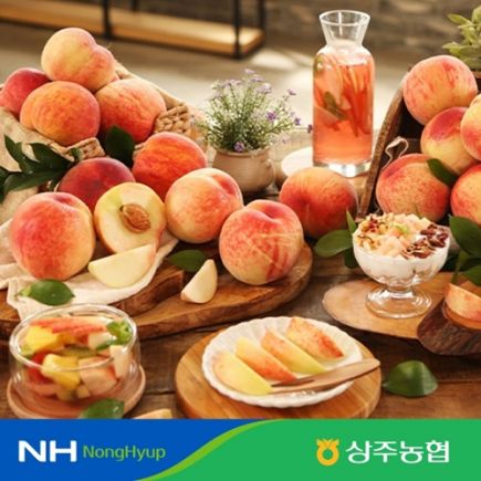 [상주농협]아삭한 백도 복숭아 총 5kg(개당215g~300g/L~2L) 2