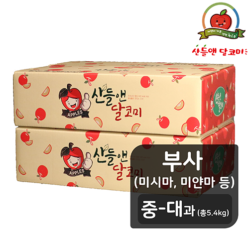[방송에서만][산들앤/중대과]산들앤 달코미 세척사과 2.7kg x 2박스 (총 5.4kg)
