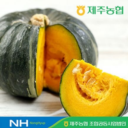 2026 제주햇살바람 미니단호박 9kg