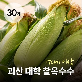 (방송중 혜택+5개)괴산대학찰옥수수(17cm 이상) 총 30개