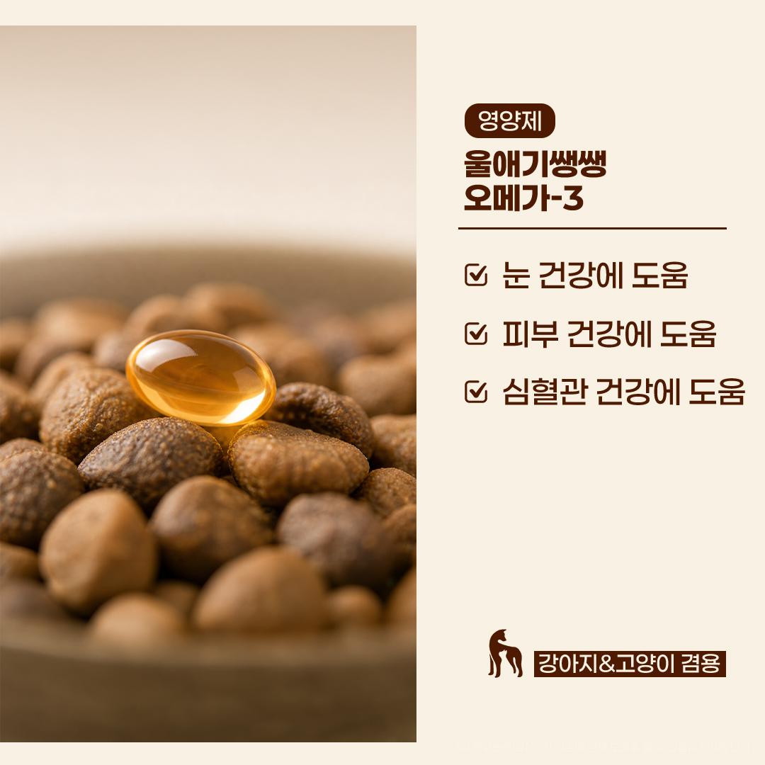 울애기쌩쌩 오메가3 2