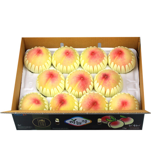 충주 하늘작 햇 백도복숭아 2.5kg 2박스(총 5kg 박스당 7과∼11과) 2