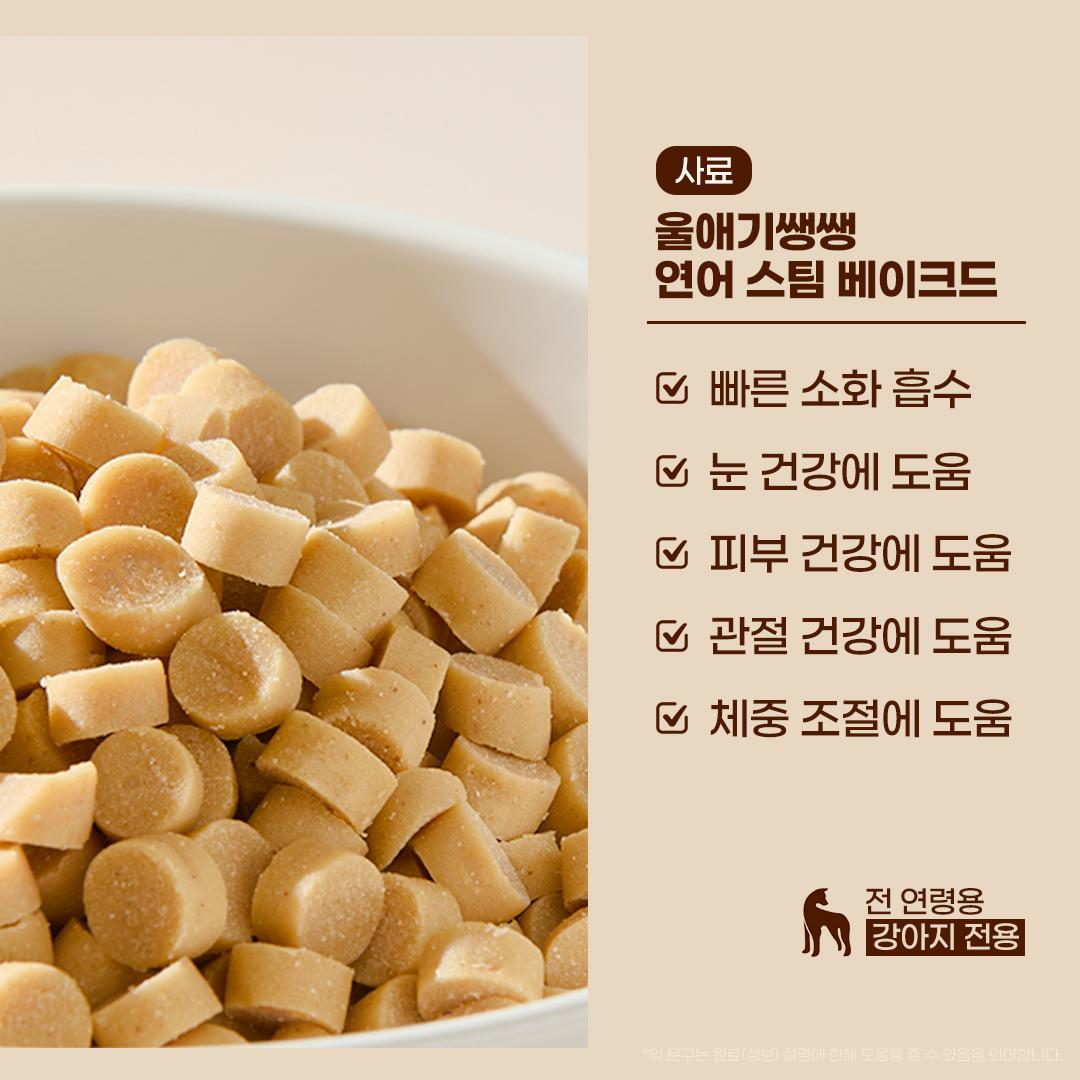 울애기쌩쌩 강아지 프리미엄 연어 스팀베이크드 수제사료 (눈, 피부, 관절, 체중조절),1kg 2