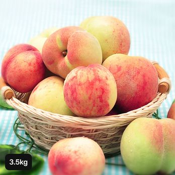 열매나무 경북 햇 백도 복숭아 3.5kg