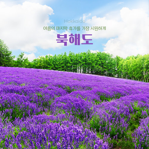 [NO팁 NO옵션] 프리미엄 북해도 4일(호텔 대게뷔페 포함/시내 1박+천연온천호텔 2박)