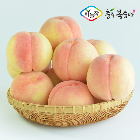 충주 하늘작 햇 백도복숭아 2.5kg 2박스(총 5kg 박스당 7과∼11과)