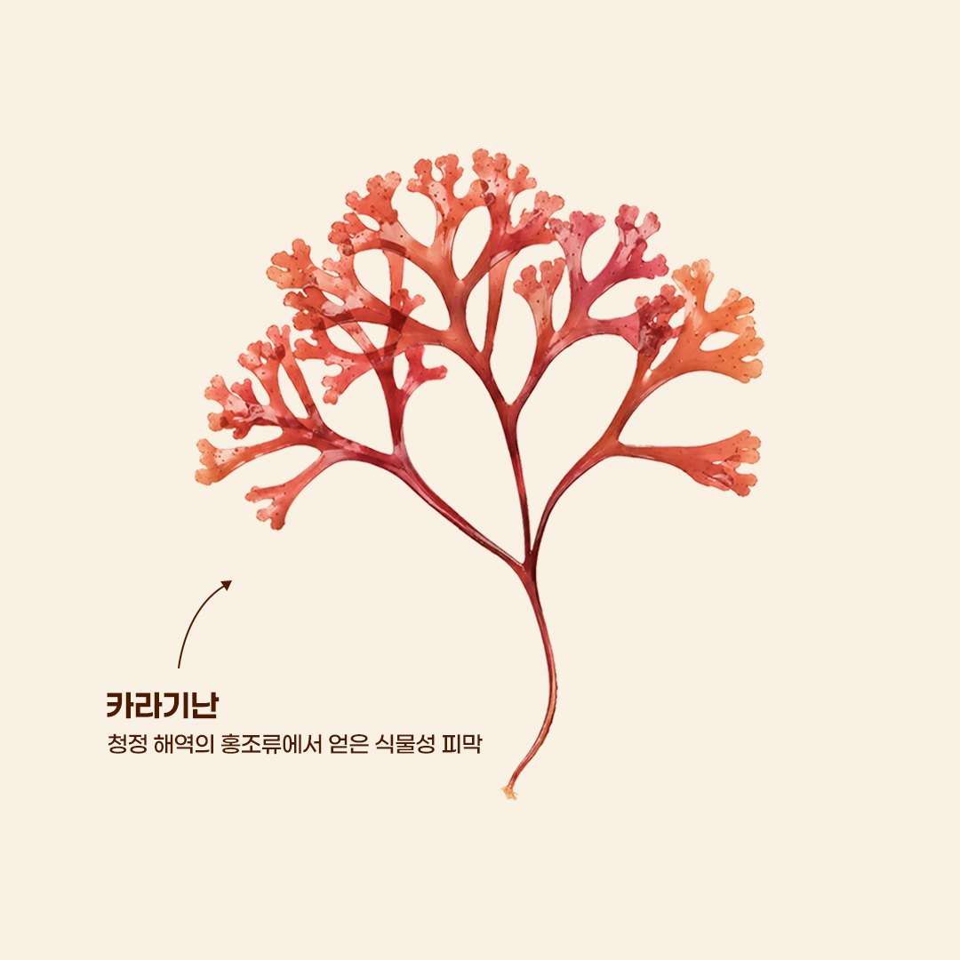 울애기쌩쌩 오메가3 3