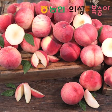 2026 농협 의성진 백도복숭아 5kg*1박스/ L~2L사이즈 개당215~300g