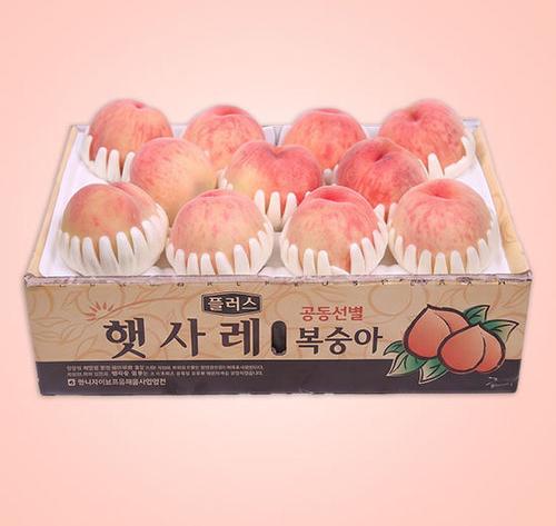 (그레이트백도) 햇사레 백도 복숭아 6kg(3kg+3kg)