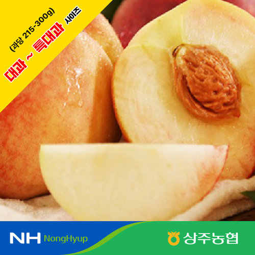 [상주농협] 아삭이 백도 복숭아 4kg