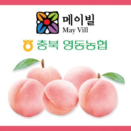 [특등급] 영동농협 복숭아 백도 3kg×2박스(총 6kg)