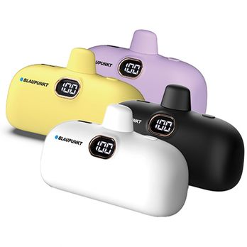 블라우풍트 도킹형 보조베터리(BLP-PB614)