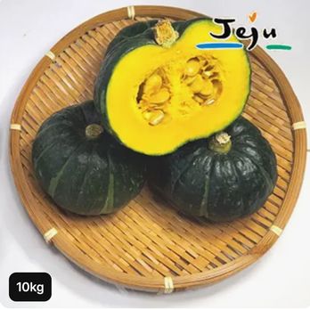 26년 햇 제주미니밤단호박 10kg (개당 300~600g)